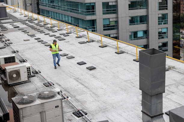Best Roof Insulation Installation  in Wekiwa Springs, FL