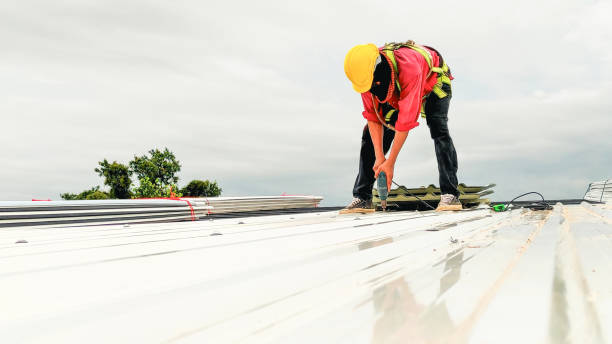 Professional Roofing Service in Wekiwa Springs, FL