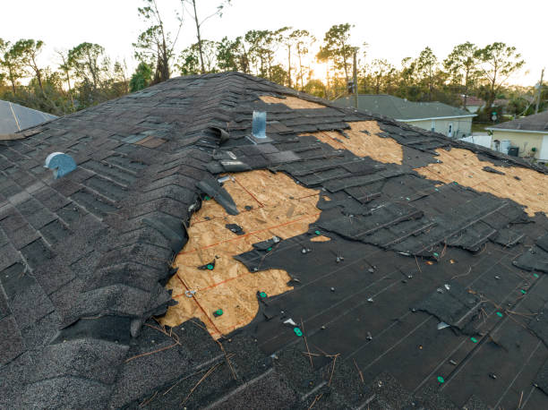 Best Hot Roofs  in Wekiwa Springs, FL